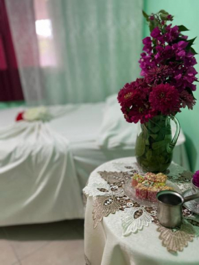 Bushi Rooms